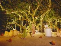 【星野リゾート リゾナーレ小浜島】幸運の木として知られるガジュマルの木を舞台に行う、幻想的なハロウィンイベント「南の島のガジュマルハロウィン」開催｜
