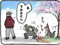 【漫画】愛犬と桜がうまく撮れない…苦戦中、イケオジに遭遇！　かっこいいアドバイスに「惚れる」【作者インタビュー】