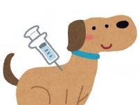 フィラリア症、狂犬病…犬の予防接種はなぜ必要か　飼い主が意外と知らない犬の大事なこと