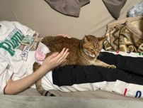 15年前に産まれた娘を可愛がってくれた猫が18歳に…　今は抗がん剤治療中「もう少し一緒にすごしたい！」