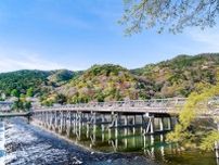 片言日本語で「カンコー、カンコー」　京都・嵐山や清水寺付近で横行する白タク　摘発阻むアプリ決済
