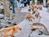 日本旅行の魅力は「水族館」や「動物園」にも♡　台湾人・香港人の8割強「訪日中に動物が見られる場所に行きたい」
