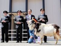駅の「メー物」になるか！？ 京都でヤギの駅長が誕生　子どもたちと触れ合い早速「メ〜」