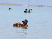 ＜水と戦争＞「死海は死につつある」　縮み続ける湖、パレスチナ問題の犠牲に