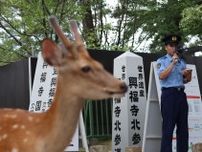 「神の使い」に暴行許さぬ　奈良のシカ蹴る動画拡散で県警パトロール