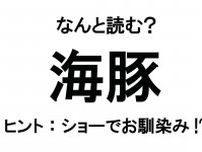 【なんと読む？】「海豚」の読み方は？ とても賢い生き物です／難読漢字