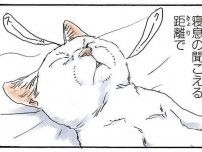 「これ以上の幸せは...」猫の寝息が聞こえるほどの距離。でも幸せすぎるせいで...！／拾い猫のモチャ