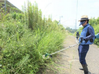 田舎は怖い...「自分の土地の草刈りはやるな！」知らない男性にいきなり怒鳴られ...この対応は酷すぎる