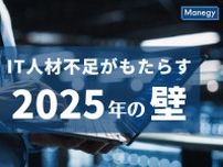 IT人材不足がもたらす「2025年の壁」なぜ日本はDX人材が少ないのか