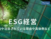 ESG経営とは？ 目的や注目されている理由、具体例などを解説！