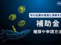 補助金の種類や申請方法とは？中小企業の成長と革新を促進