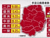 手足口病患者数　８週連続増加　岩手県全地域で警報レベルを超える