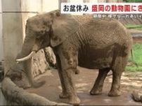 盛岡市の動物園にぎわう　普段の約５倍の来場者　お盆休み期間中様々なふれあいイベント開催　岩手県