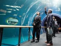 琵琶湖博物館、トンネル水槽修理完了し展示再開　琵琶湖の沖合に近い環境に