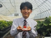 福井の農家が「夏イチゴ」販売へ　「地域の新たな名産に」と意気込み