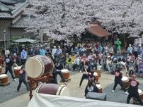 桜満開の御滝不動尊で「高野太鼓と御滝ソーラン祭り」