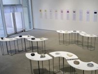 武蔵野美大で企画展示「うつわと和菓子」　陶芸体験ワークショップも