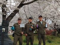 熊谷でサクラ守る「桜 防衛隊」の活動本格化　クビアカツヤカミキリ被害で