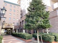盛岡のホテルが「持続可能な観光の取り組み事例」に掲載　マルシェ開催が評価