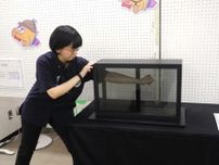 盛岡市こども科学館で夏休みの特別展　「しくみ」を探れ、科学館からの挑戦状