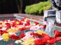 富士眺望の湯ゆらりで「バラの湯」　露天風呂の日に合わせ