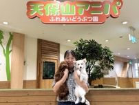 天保山の動物触れ合い施設「天保山アニパ」がリニューアル　犬・猫エリア拡大