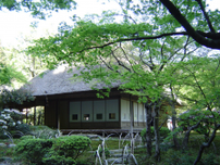 神埼・国の名勝「九年庵」で春に初のプレミアムイベント　茶会や演奏会など