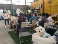 藤沢で「人と犬の健康フェスタ」　愛犬との参加呼びかけ