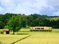 いすみ鉄道で「ランチクルーズ」　夏の田園風景を楽しんで