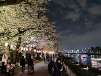 すみ経・上半期PVランキング1位は「隅田川・墨堤の桜が満開」