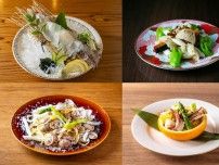 福岡市が魚食普及フェア、第1弾はイカ　市内の参加飲食店で提供