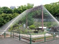 和歌山城公園動物園の「水禽園」再開　水鳥たちが元気な姿見せる