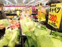 野菜高騰、消費者悲鳴　宮崎県内天候不良でキャベツ３倍