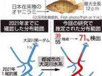 外来魚「コウライオヤニラミ」大淀川でまん延　宮崎県都城市で急拡大、生態系脅威