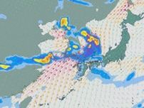 30日以降西日本から東日本広い範囲で雨に 週明けは“梅雨らしさ”が続くところ多く 雨と風シミュレーション