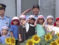 「元気でいてください」保育園児が仮設住宅にひまわりの花プレゼント 石川・輪島市