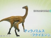新種の恐竜“ティラノミムス”発見！オルニトミモサウルス類では全国初…福井県で7年ぶりの快挙