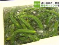 熱中症対策　水分たっぷり夏野菜を無料配布