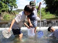 「あっカニ！」　子どもたち川を満喫　長崎・八郎川で生物調査