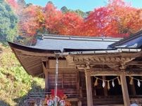 【鳥取・島根】2023紅葉情報！落ち葉の絨毯もステキ！まだ見られる紅葉景色