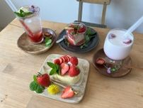 【新店】日常から少し離れて癒しの時間を。その時々の一番おいしいものを提供するくつろぎカフェ｜鳥取県北栄町