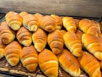 石窯で焼いたパンが70種も並ぶパン屋さん。バターがじゅわ〜っと溢れ出す唯一無二の塩パン｜鳥取市