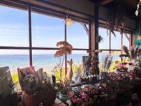素敵な空間が広がる、海の見えるお花屋さん。長く楽しめるプリザーブドフラワー専門店｜島根県大田市