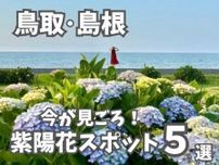 【鳥取・島根】あじさいスポットまとめ５選！海や列車と一緒に見えるスポットも。