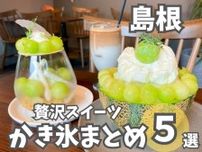 【島根】こだわりの「かき氷」まとめ5選！お茶を使った和かき氷や、果実感たっぷりフルーツかき氷！