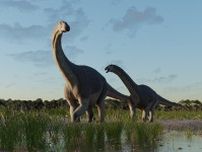 新種の恐竜を発見、「衝撃的に小さな巨大恐竜」ティタノマキア