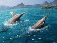 史上最大級の魚竜の新種発見、体長約25mのシャチ並みの捕食者か