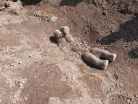 アジアゾウが死んだ子ゾウを埋葬、初の証拠、どれも上下逆さ姿勢