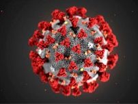613日間感染状態が続いた患者体内で新型コロナウイルスが免疫回避性に進化していた！