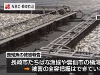 「赤潮」ブリ・シマアジ大量死　報告相次ぎ被害全容把握できず　長崎